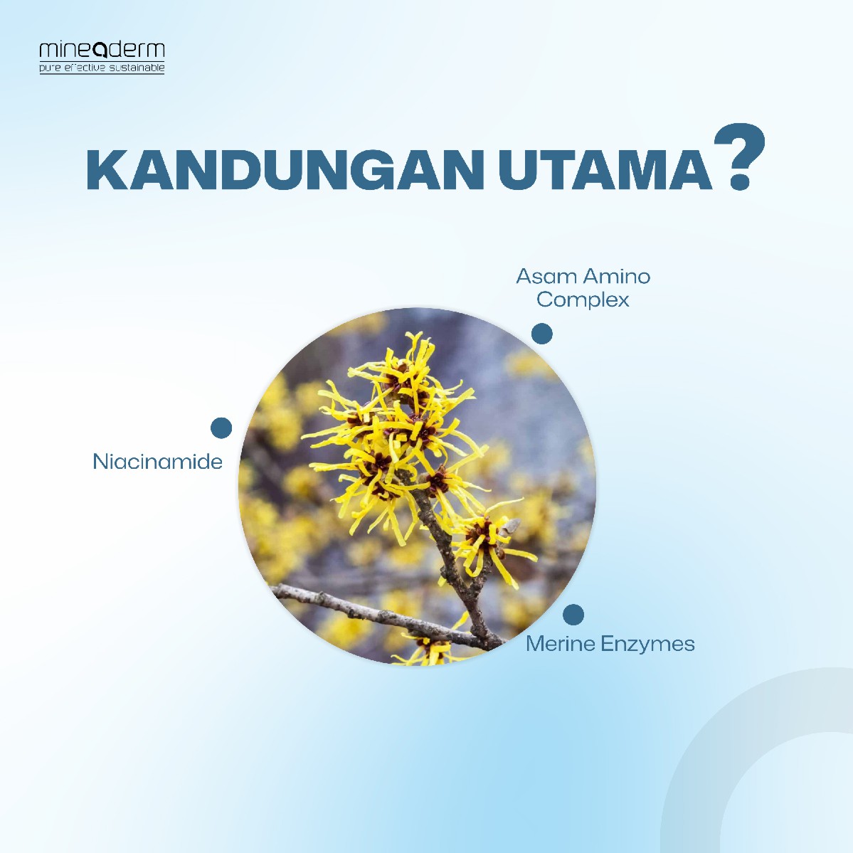 Mineaderm Anti-Shine Refreshing Tonic Benefits