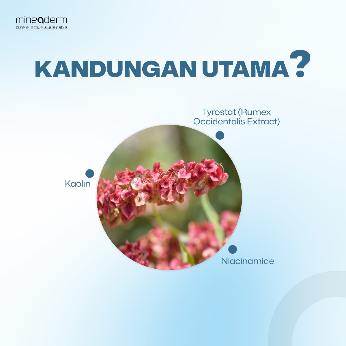 Mineaderm Revitalizer Lightening Clay Mask Benefits