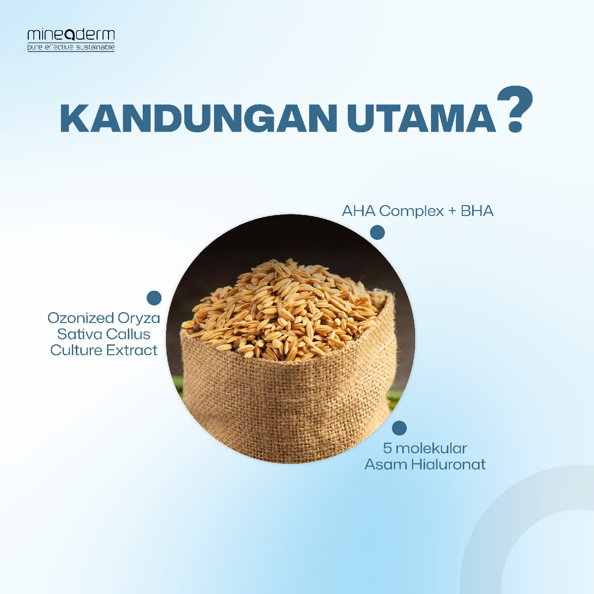 Mineaderm Revitalizing AHA BHA Serum Benefits