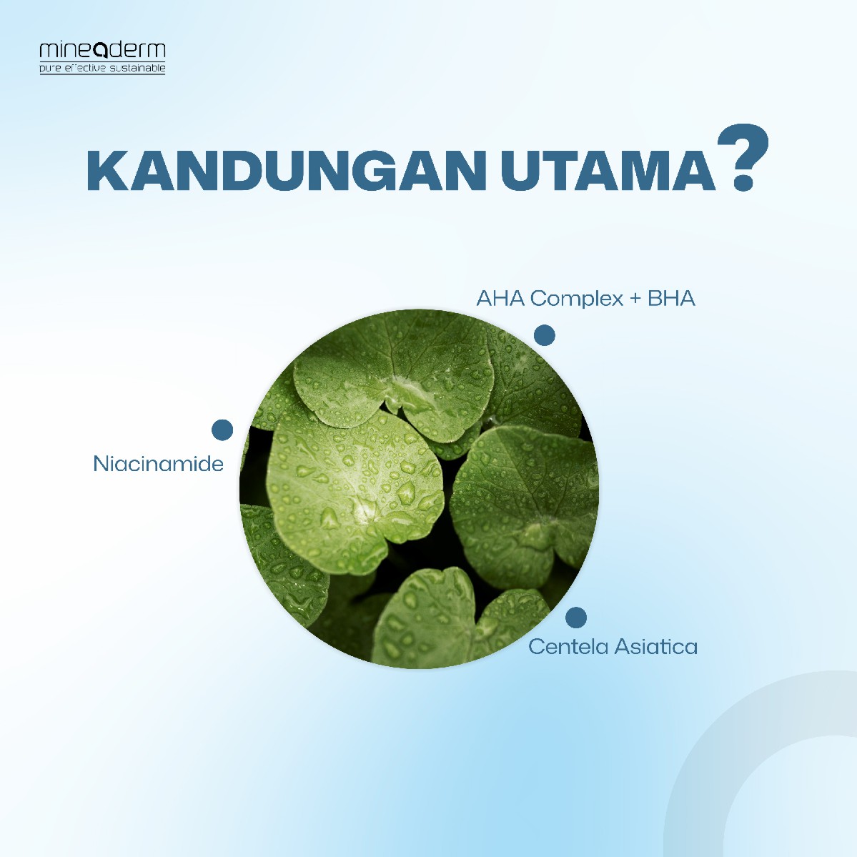 Mineaderm Smoothing AHA BHA Toner