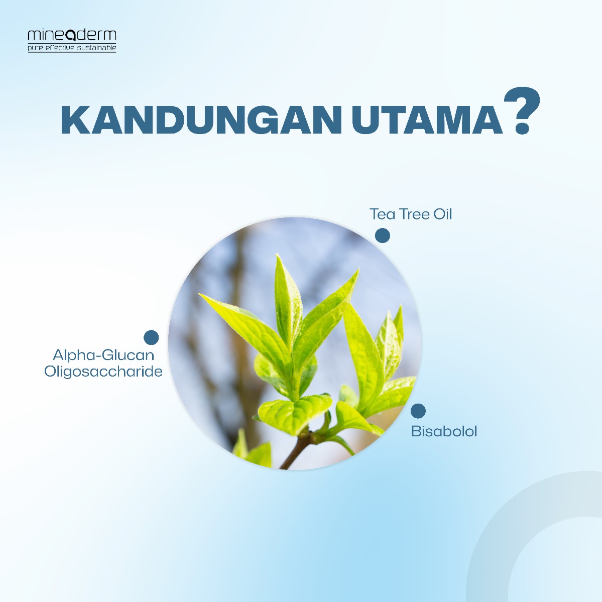 Mineaderm Tea Tree Oil Face Wash Benefits